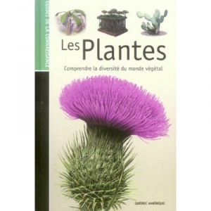 Les Plantes , Comprendre La Diversite Du Monde Vegetal - Collectif