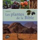 Les Plantes De La Bible - Kawollek , Falk