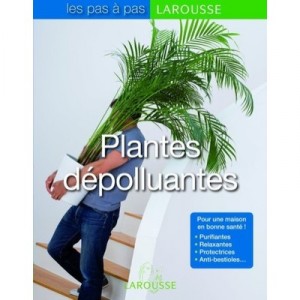 Plantes Depolluantes - Collectif