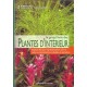 Les Plantes D'interieur - Rubio