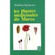 Les Plantes Medicales Du Maroc - Abedlhai Sijelmassi