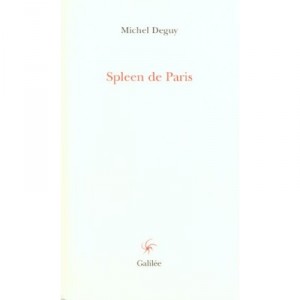 Le Spleen De Paris - Michel Deguy