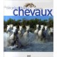 Les Plus Beaux Chevaux - Martine Laffon , Laurence Bar