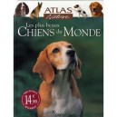 Les Plus Beaux Chiens Du Monde - Collectif