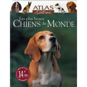 Les Plus Beaux Chiens Du Monde - Collectif