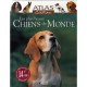 Les Plus Beaux Chiens Du Monde - Collectif