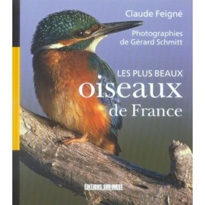 Les Plus Beaux Oiseaux De France - Claude Feigne