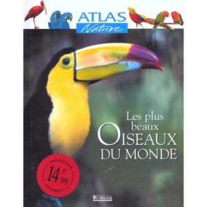 Les Plus Beaux Oiseaux Du Monde - Collectif