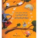 Les Plus Belles Comptines Allemandes - Michele Garabedian