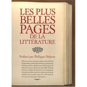 Les Plus Belles Pages De La Litterature - Collectif