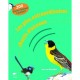 Les Plus Extraordinaires Chants D'oiseaux - Les Beletsky