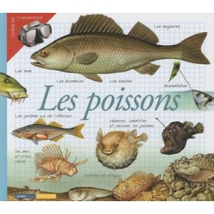 Les Poissons - Collectif