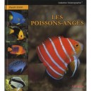 Les Poissons-anges - Kiyoshi Endoh