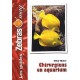 Chirurgiens En Aquarium - Ellen Thaler