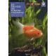 Les Maladies Des Poissons D'aquarium - Massimo Millefanti