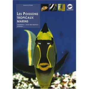Les Poissons Tropicaux Marins - Parisse Golsamina