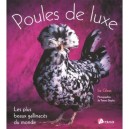 Les Poules De Luxe - I Glass