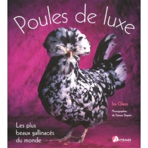 Les Poules De Luxe - I Glass