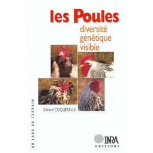 Les Poules , Diversite Genetique Visible - Gerard Coquerelle