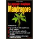 Les Pouvoirs Magiques De La Mandragore - Mahtias Langlorf