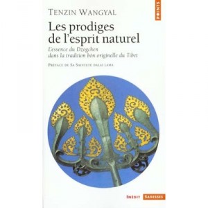Les Prodiges De L'esprit Naturel , L'essence Du Dzogchen Dans La Tradition Bon Originelle Du Tibet - Tenzin Wangyal
