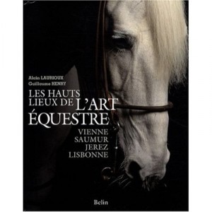 Les Hauts Lieux De L'art Equestre - Alain Laurioux , Guillaume Henry