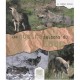 Les Quatres Saisons Du Loup - Stephan Bonneau