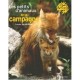 Les Qui Sommes-nous ? Les Petits D'animaux De La Campagne - Colette Barbe-julien