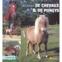 Les Races De Chevaux Et Poneys - Collectif