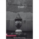 Les Racines Du Nombril - Olivier Buccellato