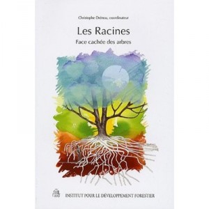 Les Racines, Face Cachee Des Arbres - Christophe Drenou