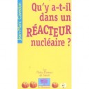 Qu'y A-t-il Dans Un Reacteur Nucleaire ? - Jean-marc Cavedon
