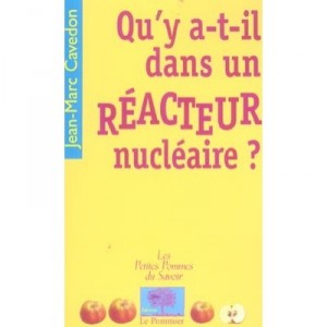 Qu'y A-t-il Dans Un Reacteur Nucleaire ? - Jean-marc Cavedon