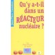 Qu'y A-t-il Dans Un Reacteur Nucleaire ? - Jean-marc Cavedon