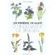 Les Remedes De Sante D'hildegarde De Bingen - Paul Ferris