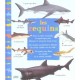 Les Requins - Patrick Louisy