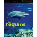 Les Requins - Valerie Tracqui