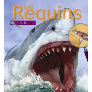Les Requins - Collectif