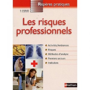 Les Risques Professionnels - Bruno Anselme