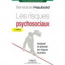 Les Risques Psychosociaux , Analyser Et Prevenir Les Risques Humains (2e Edition) - Benedicte Haubold