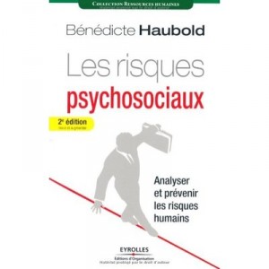 Les Risques Psychosociaux , Analyser Et Prevenir Les Risques Humains (2e Edition) - Benedicte Haubold