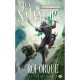 Transitions T.1 : Le Roi Orque - R.a. Salvatore