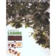 Les Secrets De L'arbre - David Burnie