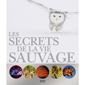 Les Secrets De La Vie Sauvage - David Burnie