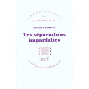 Les Separations Imparfaites - Michel Gribinski