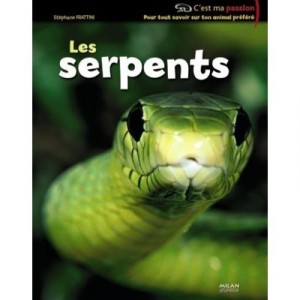 Les Serpents - Stephane Frattini