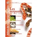Les Serpents T.1 - Collectif