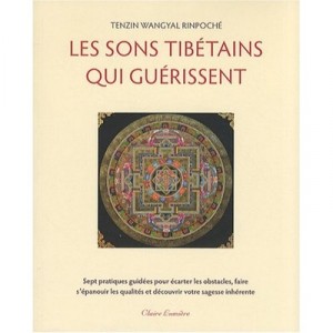 Les Sons Tibetains Qui Guerissent - Tenzin Wangyal