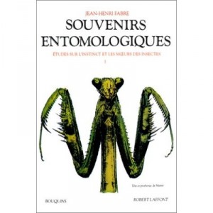 Les Souvenirs Entomologiques T.1 - Jean-henri Fabre