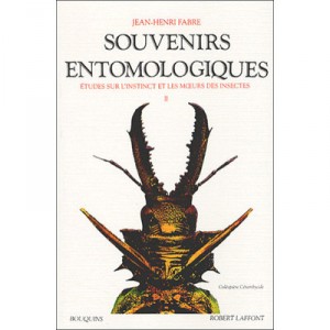 Souvenirs Entomologiques T.2 , Etudes Sur L'instinct Et Les Moeurs Des Insectes - Jean-henri Fabre